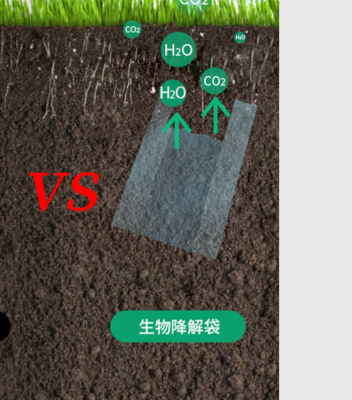 可生物降解環(huán)保塑料可以回收再利用嗎？(圖1)