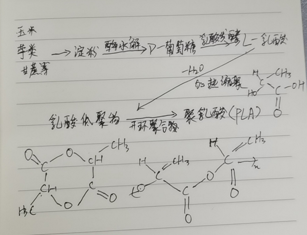 生物降解袋中的PLA是如何制得的？(圖2)